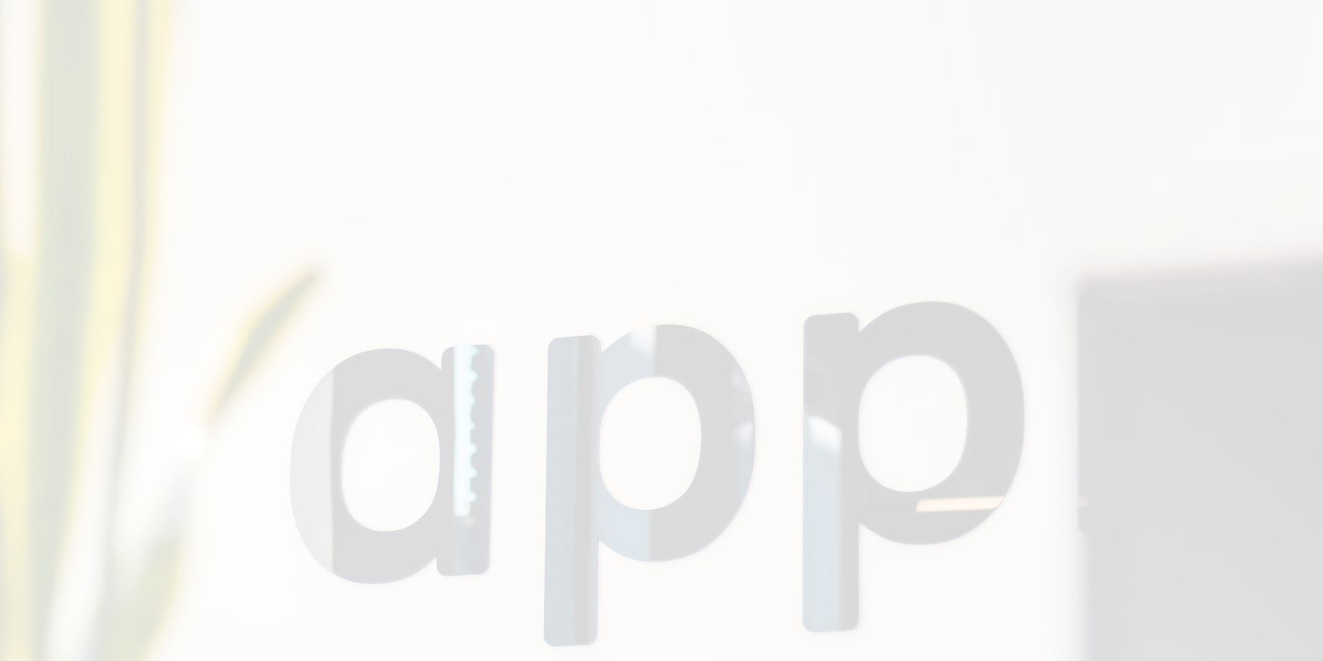 APP应用开发